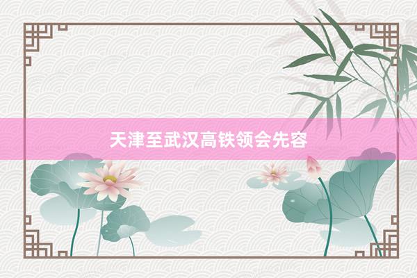 天津至武汉高铁领会先容