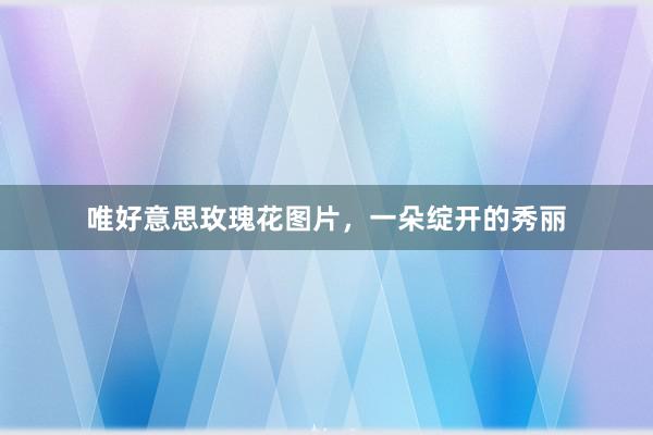 唯好意思玫瑰花图片，一朵绽开的秀丽