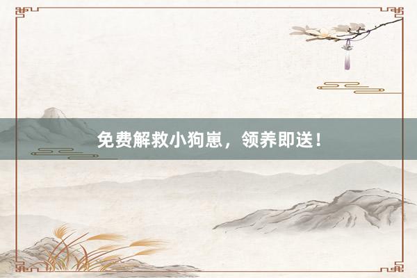 免费解救小狗崽，领养即送！
