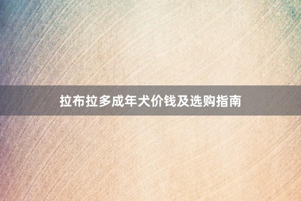 拉布拉多成年犬价钱及选购指南
